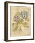 Bouquet of Blue Hydrangea-Cheri Blum-Framed Art Print