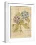 Bouquet of Blue Hydrangea-Cheri Blum-Framed Art Print