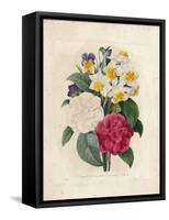 Bouquet of Camellias-Pierre-Joseph Redouté-Framed Stretched Canvas