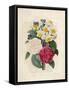 Bouquet of Camellias-Pierre-Joseph Redouté-Framed Stretched Canvas
