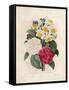 Bouquet of Camellias-Pierre-Joseph Redouté-Framed Stretched Canvas