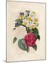 Bouquet of Camellias-Pierre-Joseph Redouté-Mounted Giclee Print