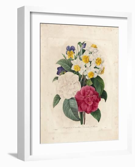 Bouquet of Camellias-Pierre-Joseph Redouté-Framed Giclee Print