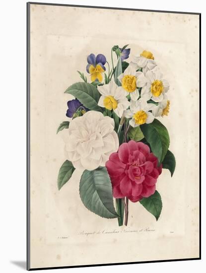 Bouquet of Camellias-Pierre-Joseph Redouté-Mounted Giclee Print