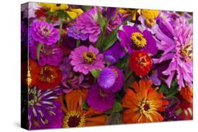 Bouquet of Colorful at a Farmers' Market, Savannah, Georgia, USA-Joanne Wells-Stretched Canvas