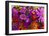 Bouquet of Colorful at a Farmers' Market, Savannah, Georgia, USA-Joanne Wells-Framed Photographic Print