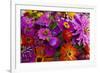 Bouquet of Colorful at a Farmers' Market, Savannah, Georgia, USA-Joanne Wells-Framed Photographic Print