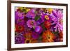 Bouquet of Colorful at a Farmers' Market, Savannah, Georgia, USA-Joanne Wells-Framed Photographic Print