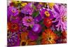 Bouquet of Colorful at a Farmers' Market, Savannah, Georgia, USA-Joanne Wells-Mounted Photographic Print