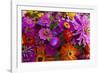 Bouquet of Colorful at a Farmers' Market, Savannah, Georgia, USA-Joanne Wells-Framed Photographic Print