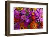 Bouquet of Colorful at a Farmers' Market, Savannah, Georgia, USA-Joanne Wells-Framed Photographic Print