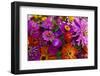 Bouquet of Colorful at a Farmers' Market, Savannah, Georgia, USA-Joanne Wells-Framed Photographic Print