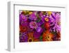 Bouquet of Colorful at a Farmers' Market, Savannah, Georgia, USA-Joanne Wells-Framed Photographic Print