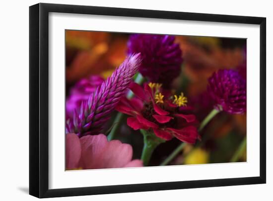 Bouquet of Colorful Flowers at a Farmers' Market, Savannah, Georgia, USA-Joanne Wells-Framed Photographic Print