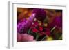 Bouquet of Colorful Flowers at a Farmers' Market, Savannah, Georgia, USA-Joanne Wells-Framed Photographic Print