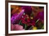 Bouquet of Colorful Flowers at a Farmers' Market, Savannah, Georgia, USA-Joanne Wells-Framed Photographic Print