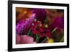 Bouquet of Colorful Flowers at a Farmers' Market, Savannah, Georgia, USA-Joanne Wells-Framed Photographic Print