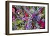 Bouquet of Colorful Flowers at a Farmers' Market, Savannah, Georgia, USA-Joanne Wells-Framed Photographic Print