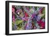 Bouquet of Colorful Flowers at a Farmers' Market, Savannah, Georgia, USA-Joanne Wells-Framed Photographic Print