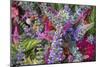 Bouquet of Colorful Flowers at a Farmers' Market, Savannah, Georgia, USA-Joanne Wells-Mounted Photographic Print