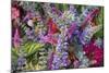 Bouquet of Colorful Flowers at a Farmers' Market, Savannah, Georgia, USA-Joanne Wells-Mounted Photographic Print