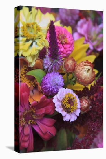 Bouquet of Colorful Flowers at a Farmers' Market, Savannah, Georgia, USA-Joanne Wells-Stretched Canvas