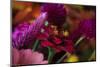 Bouquet of Colorful Flowers at a Farmers' Market, Savannah, Georgia, USA-Joanne Wells-Mounted Photographic Print