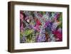 Bouquet of Colorful Flowers at a Farmers' Market, Savannah, Georgia, USA-Joanne Wells-Framed Photographic Print