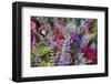 Bouquet of Colorful Flowers at a Farmers' Market, Savannah, Georgia, USA-Joanne Wells-Framed Photographic Print