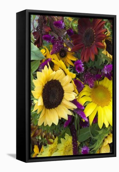 Bouquet of Colorful Sunflowers at Market, Savannah, Georgia, USA-Joanne Wells-Framed Stretched Canvas