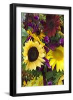 Bouquet of Colorful Sunflowers at Market, Savannah, Georgia, USA-Joanne Wells-Framed Photographic Print