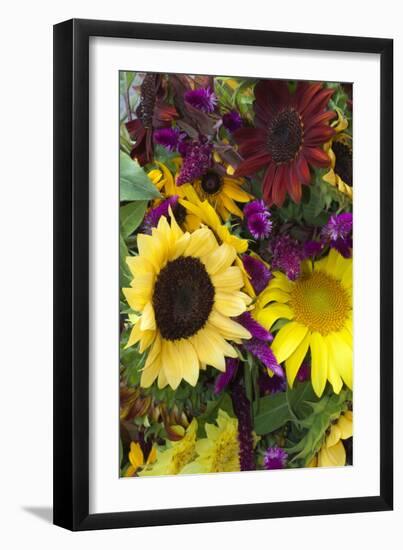 Bouquet of Colorful Sunflowers at Market, Savannah, Georgia, USA-Joanne Wells-Framed Photographic Print