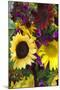 Bouquet of Colorful Sunflowers at Market, Savannah, Georgia, USA-Joanne Wells-Mounted Photographic Print