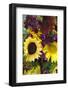 Bouquet of Colorful Sunflowers at Market, Savannah, Georgia, USA-Joanne Wells-Framed Photographic Print