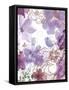 Bouquet of Dreams VI-Delores Naskrent-Framed Stretched Canvas