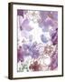 Bouquet of Dreams VI-Delores Naskrent-Framed Art Print