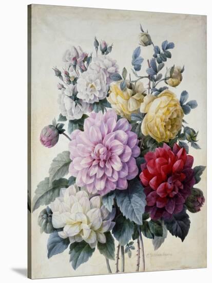 Bouquet of Flowers, Dahlias and Roses, Published C.1830-40 (Stipple Hand Coloured)-Camille de Chantereine-Stretched Canvas