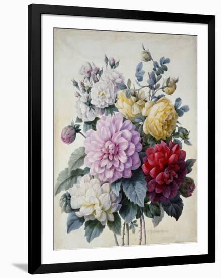 Bouquet of Flowers, Dahlias and Roses, Published C.1830-40 (Stipple Hand Coloured)-Camille de Chantereine-Framed Giclee Print