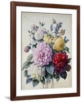 Bouquet of Flowers, Dahlias and Roses, Published C.1830-40 (Stipple Hand Coloured)-Camille de Chantereine-Framed Giclee Print