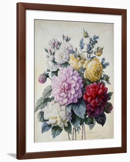 Bouquet of Flowers, Dahlias and Roses, Published C.1830-40 (Stipple Hand Coloured)-Camille de Chantereine-Framed Giclee Print