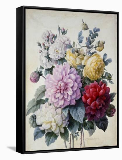 Bouquet of Flowers, Dahlias and Roses, Published C.1830-40 (Stipple Hand Coloured)-Camille de Chantereine-Framed Stretched Canvas