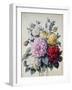 Bouquet of Flowers, Dahlias and Roses, Published C.1830-40 (Stipple Hand Coloured)-Camille de Chantereine-Framed Giclee Print