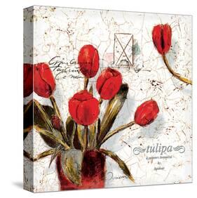 Bouquet of Flowers-Joadoor-Stretched Canvas