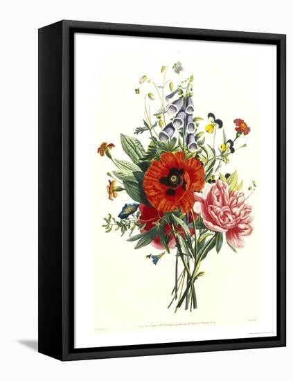 Bouquet of Foxglove, Poppy and Peonie-Jean Louis Prevost-Framed Stretched Canvas