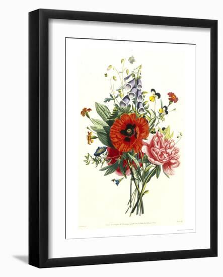 Bouquet of Foxglove, Poppy and Peonie-Jean Louis Prevost-Framed Giclee Print