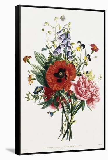 Bouquet of Foxglove, Poppy, and Peony-Jean Louis Prevost-Framed Stretched Canvas