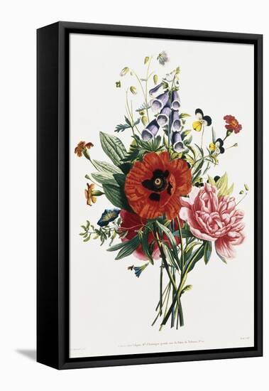 Bouquet of Foxglove, Poppy, and Peony-Jean Louis Prevost-Framed Stretched Canvas