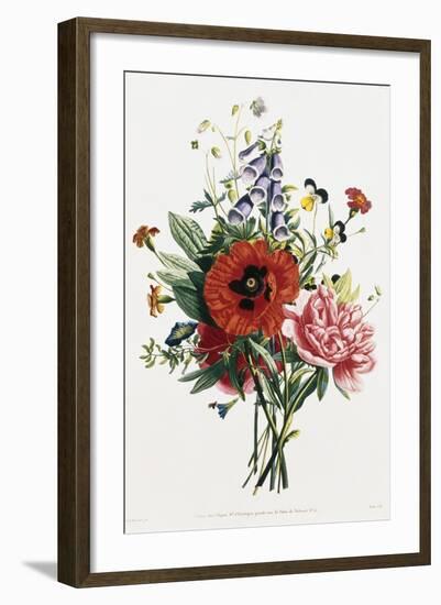 Bouquet of Foxglove, Poppy, and Peony-Jean Louis Prevost-Framed Giclee Print