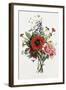 Bouquet of Foxglove, Poppy, and Peony-Jean Louis Prevost-Framed Giclee Print