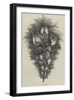 Bouquet of Game-null-Framed Giclee Print